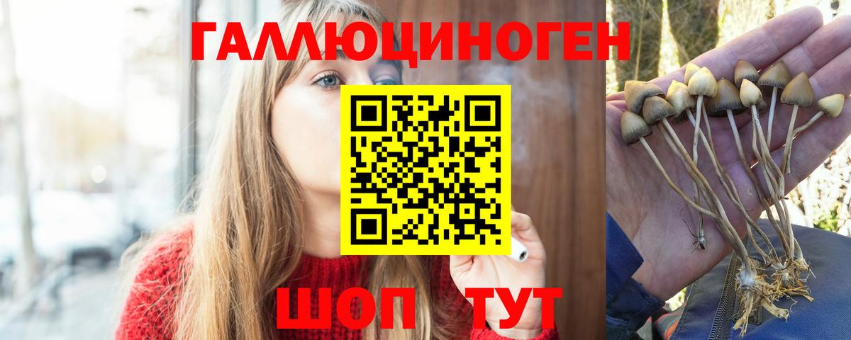 Галлюциногенные грибы прущие грибы Лянтор